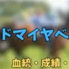 アドマイヤベガ