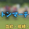 アストンマーチャン