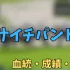 フサイチパンドラ
