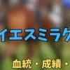 ケイエスミラクル