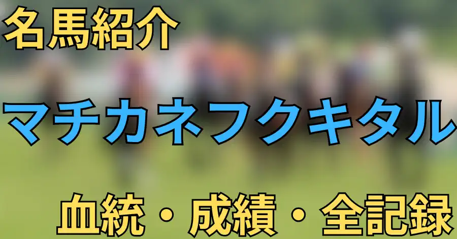 マチカネフクキタル