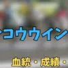 シンコウウインディ
