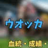 ウオッカ
