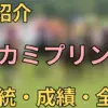 カワカミプリンセス