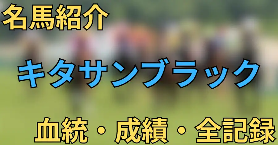 キタサンブラック