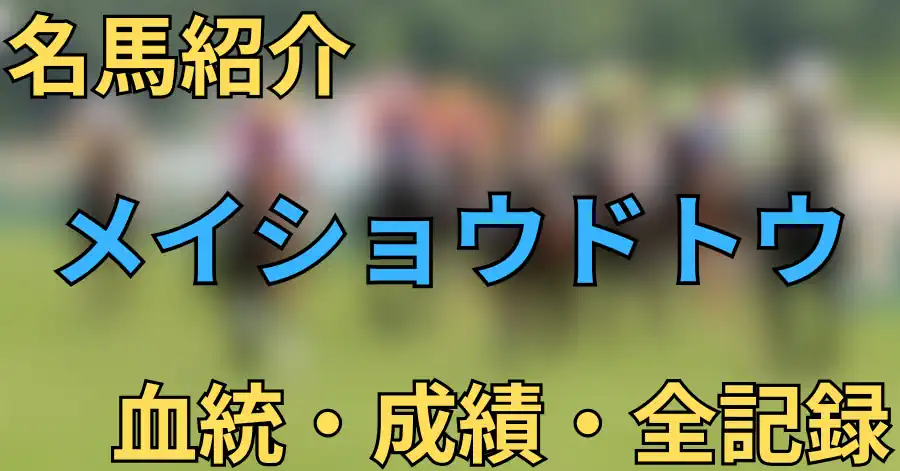 メイショウドトウ