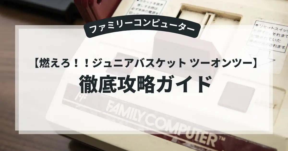 燃えろ！！ジュニアバスケット ツーオンツー