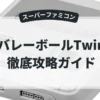 バレーボールTwin