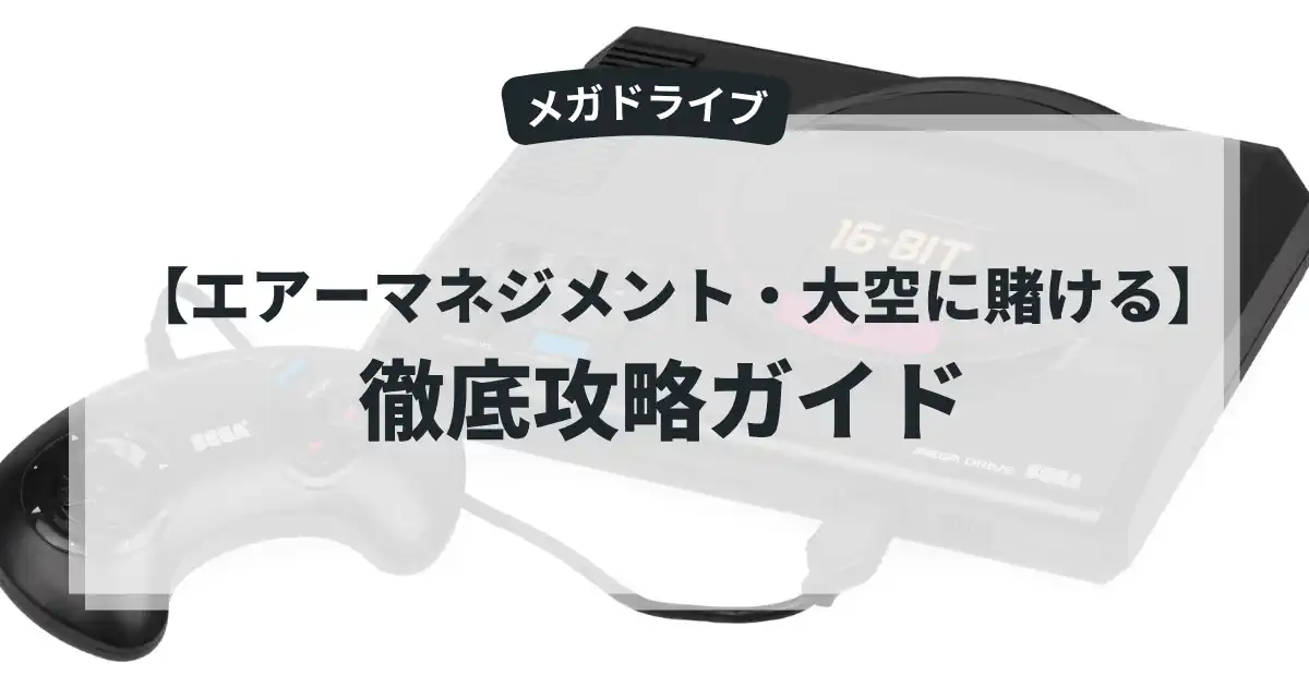 エアーマネジメント・大空に賭ける