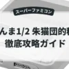 らんま1/2 朱猫団的秘宝