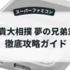 若貴大相撲 夢の兄弟対決