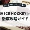 USA ICE HOCKEY in FC