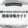 船木誠勝 HYBRID WRESTLER 闘技伝承