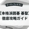 本格派囲碁 碁聖